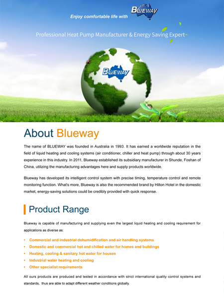 Blueway Company Introducere